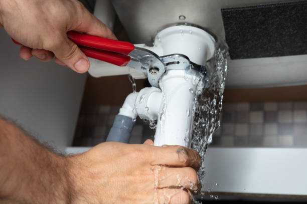 Best Professional water damage repair  in Bertville, AL