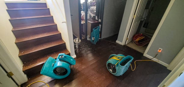 Best Flood restoration services  in Bertville, AL