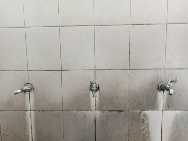 Trusted Albertville, AL Water damage restoration Experts