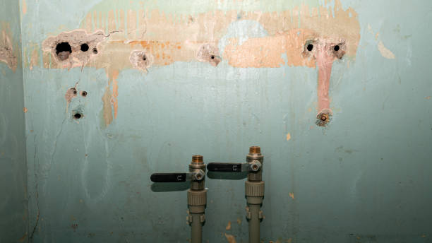 Best Emergency water damage restoration  in Bertville, AL