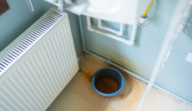 Best Water damage restoration near me  in Bertville, AL