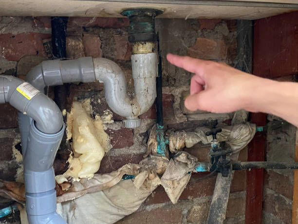 Best Emergency water damage restoration  in Bertville, AL