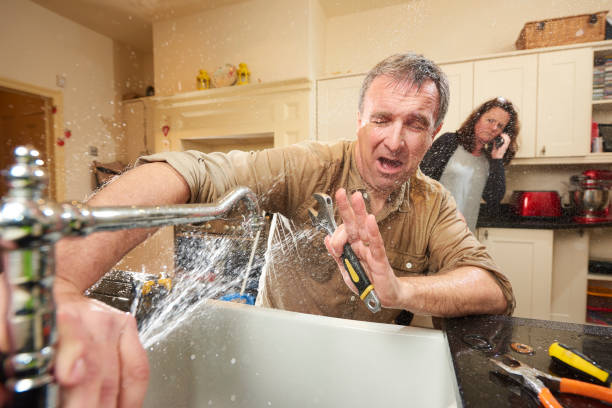 Best Water damage restoration near me  in Bertville, AL